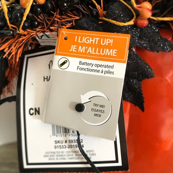 Michaels Pumpkin with Light Up Haunted House - Picture 4 of 10